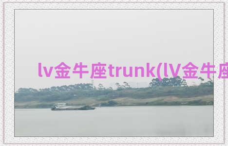 lv金牛座trunk(lV金牛座包包)