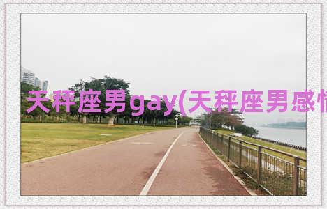 天秤座男gay(天秤座男感情专一吗)